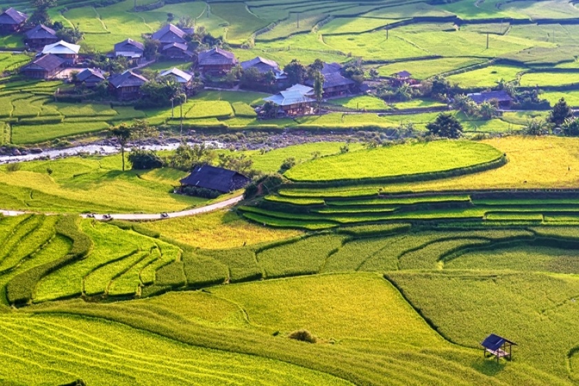 Image gallery